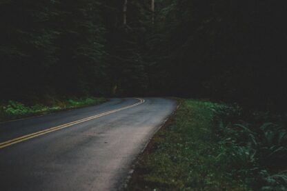 Pollution lumineuse et biodiversité : état des connaissances et retours d’expérience - Journée AFE /MNHN